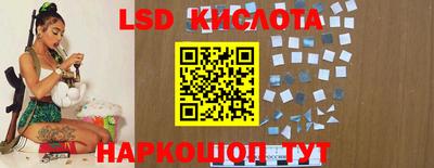 бошки Краснодар