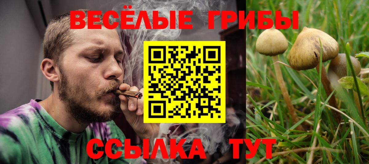 Псилоцибиновые грибы мухоморы Тара